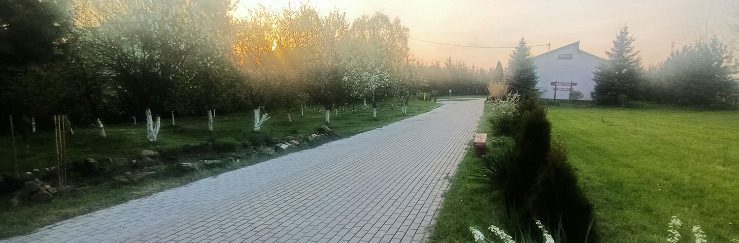 Aleja prowadząca do budynku